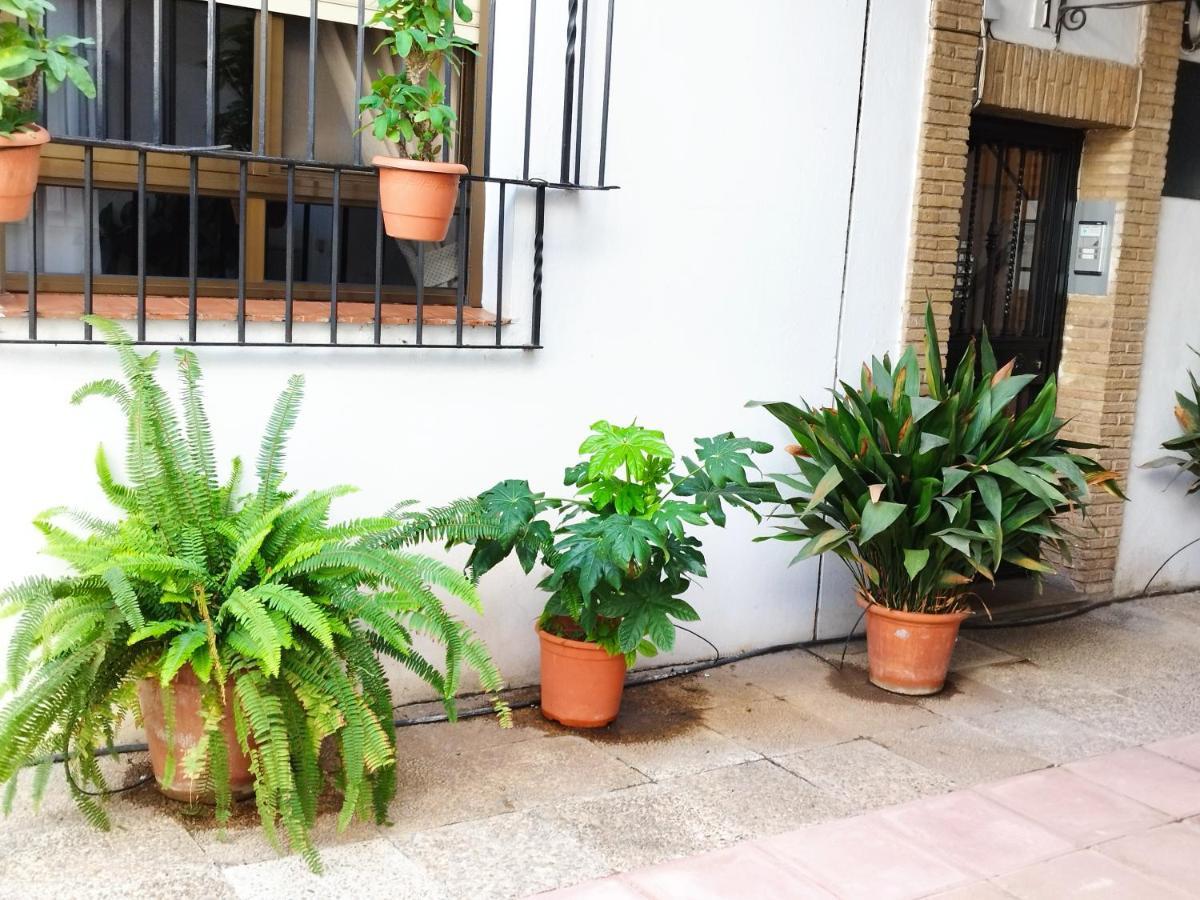 El Balcon De San Pablo Appartement Córdoba Buitenkant foto