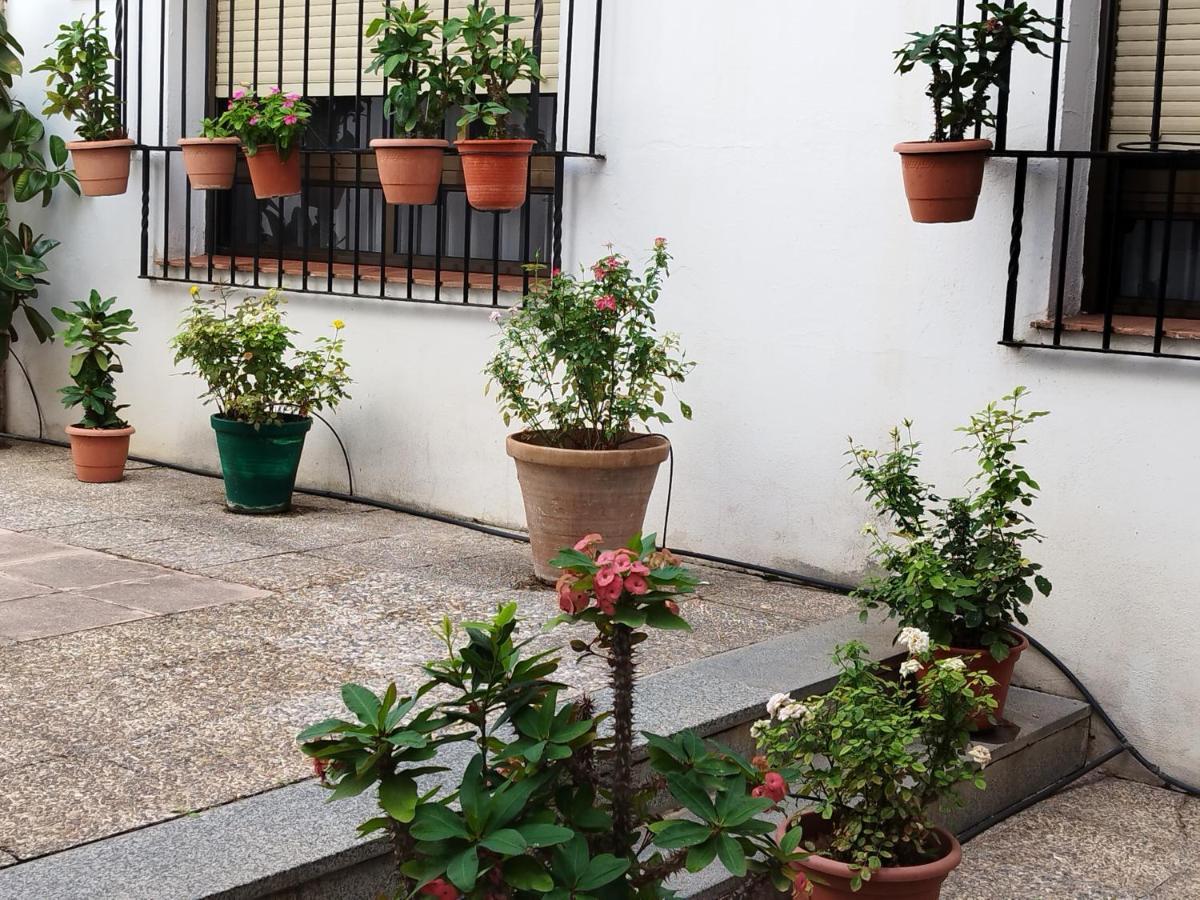 El Balcon De San Pablo Appartement Córdoba Buitenkant foto